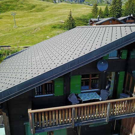 Eliane Διαμέρισμα Bettmeralp Εξωτερικό φωτογραφία