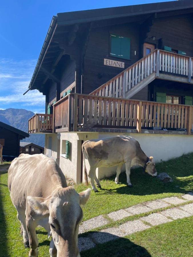 Eliane Διαμέρισμα Bettmeralp Εξωτερικό φωτογραφία