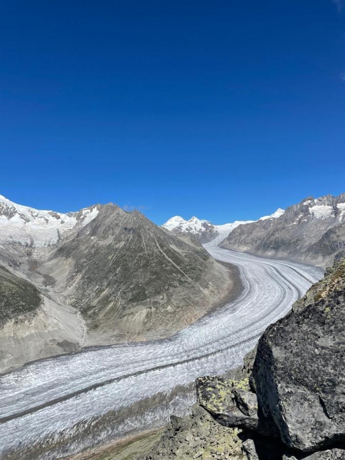 Eliane Διαμέρισμα Bettmeralp Εξωτερικό φωτογραφία