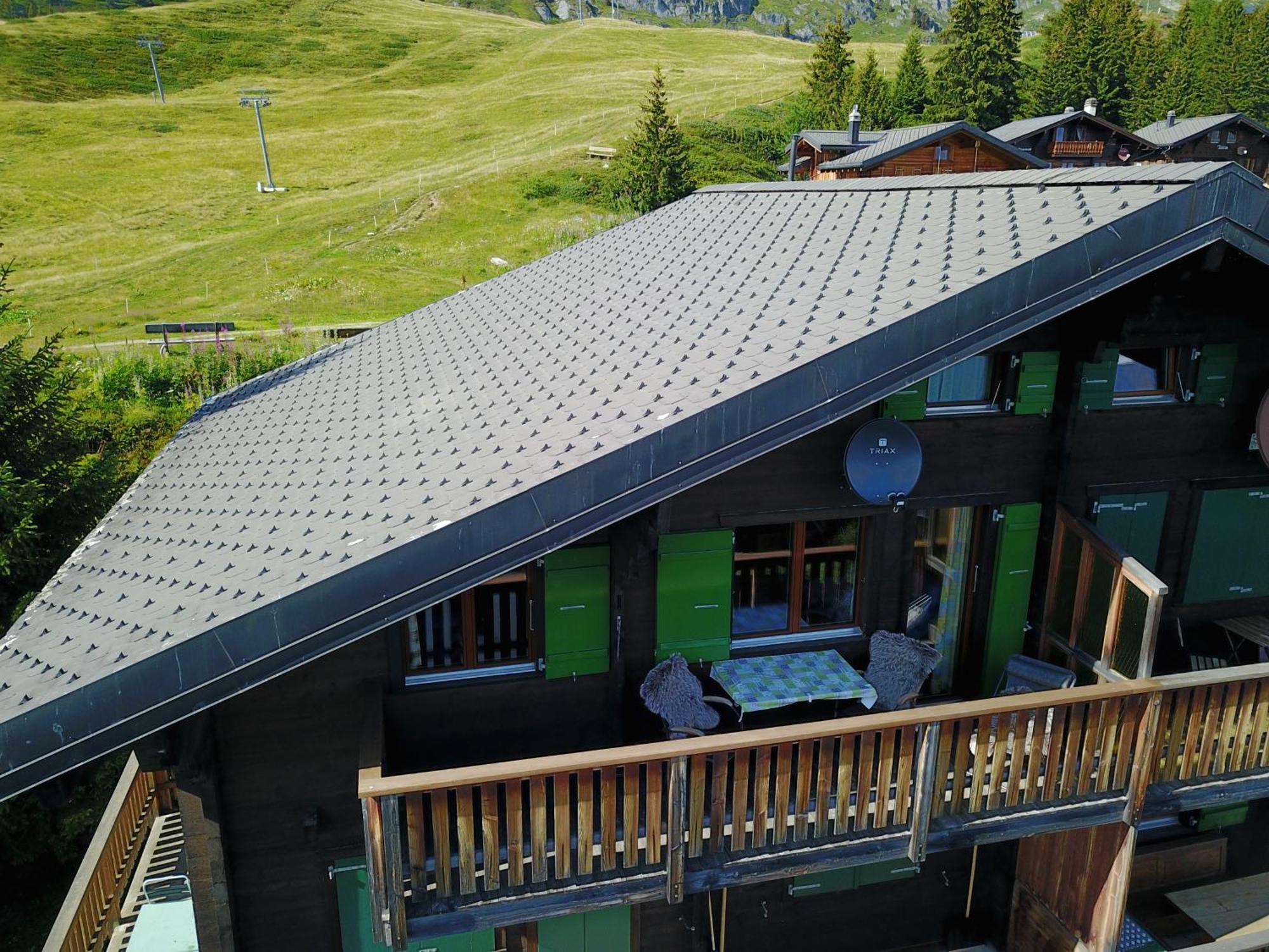 Eliane Διαμέρισμα Bettmeralp Εξωτερικό φωτογραφία